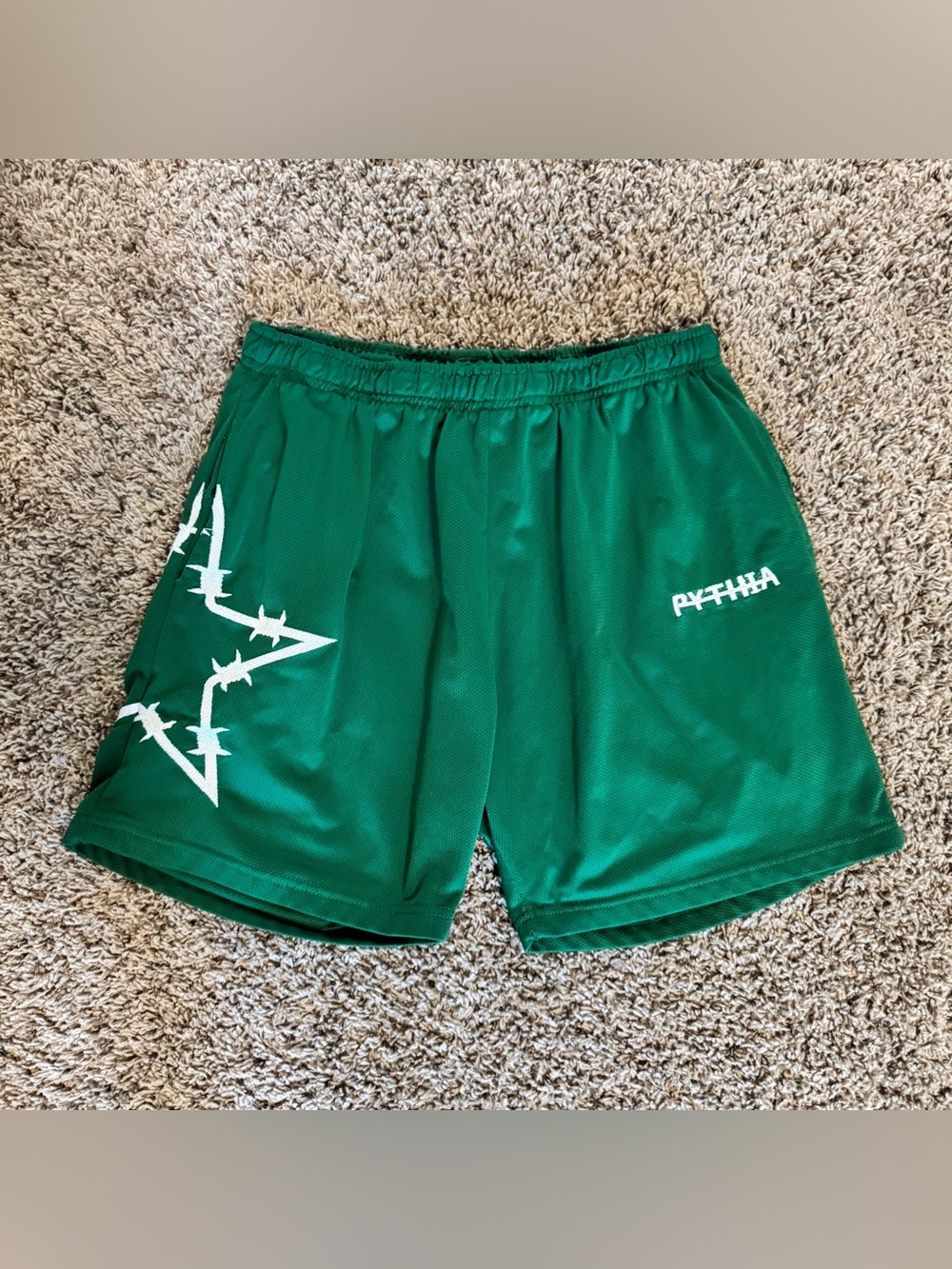 Pythia Green Basketball Shorts